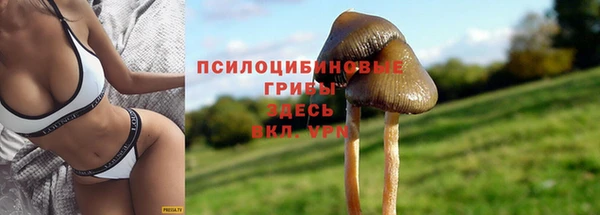 соль курить ск Алексеевка