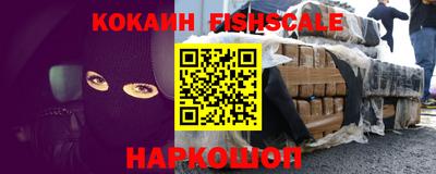 гашик Гай