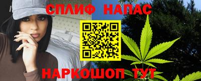 гашик Гай