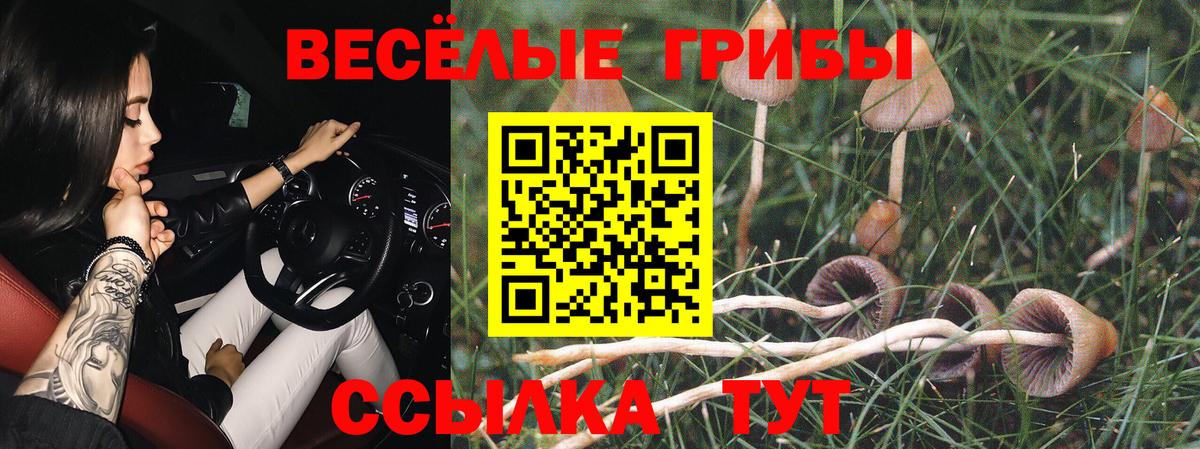 Псилоцибиновые грибы мицелий  Вход с VPN  Кольчугино 
