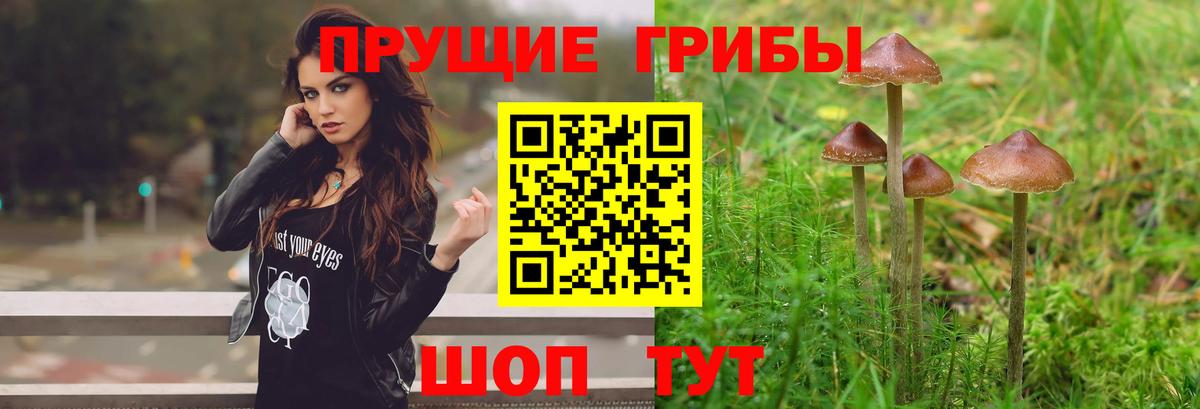 Галлюциногенные грибы ЛСД Кольчугино